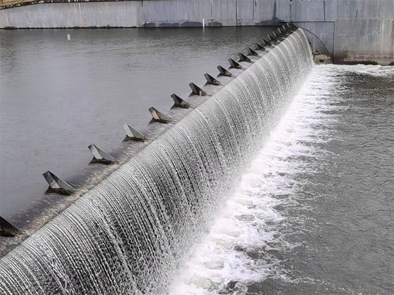 閘門廠家——揚州楚門機(jī)電設(shè)備制造有限公司